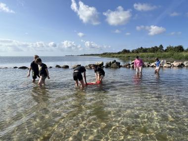 Børn undersøger livet på stranden